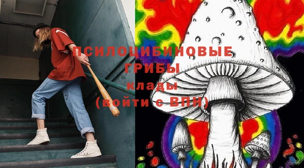 тгк Абдулино